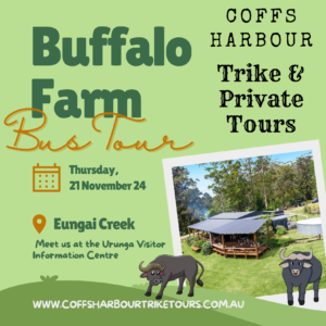 Buffalo Farm